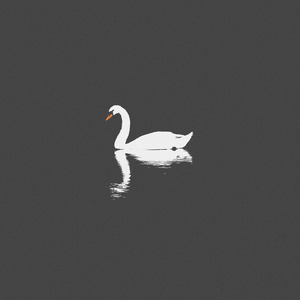 免费导管必备网站
