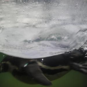 免费导管必备网站
