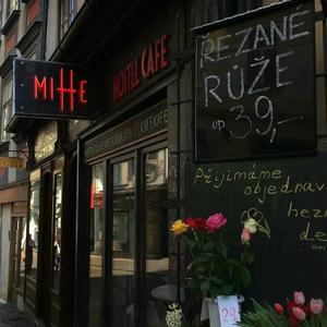 免费导管必备网站
