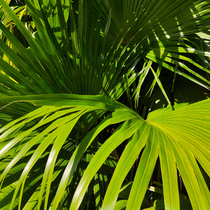 免费导管必备网站
